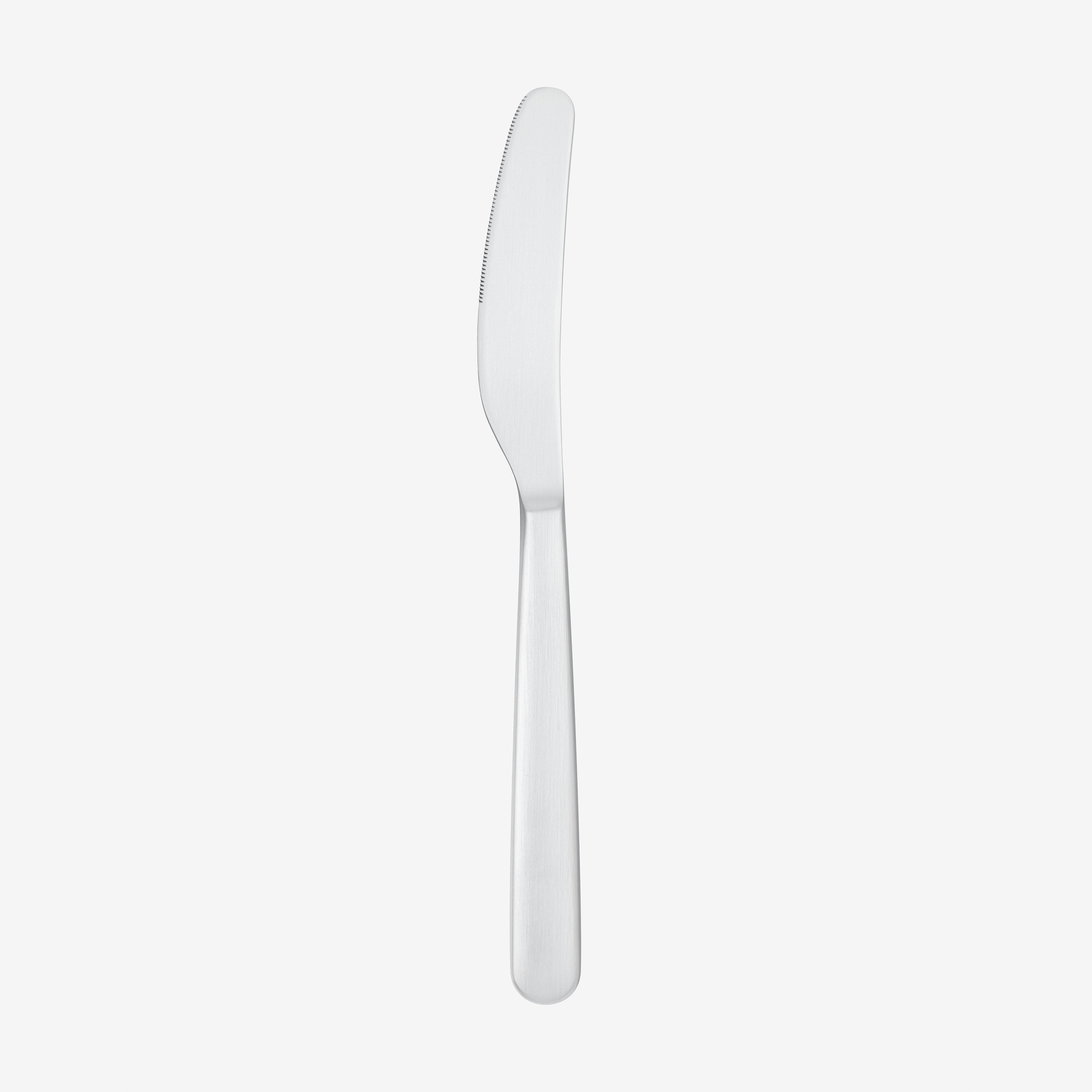 Dinner Knife